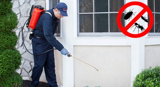 Dörtyol Bit İlaçlama böcek ilaçlama ve haşere kontrolü — ilaclama-tr.com